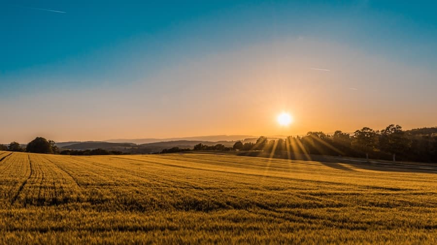 Sunrise over open fields symbolizing long-term financial growth